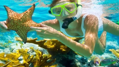 Snorkeling tour from Camyuva